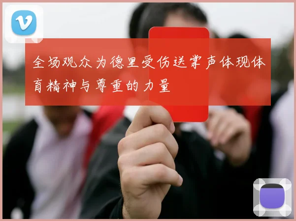 全场观众为德里受伤送掌声体现体育精神与尊重的力量