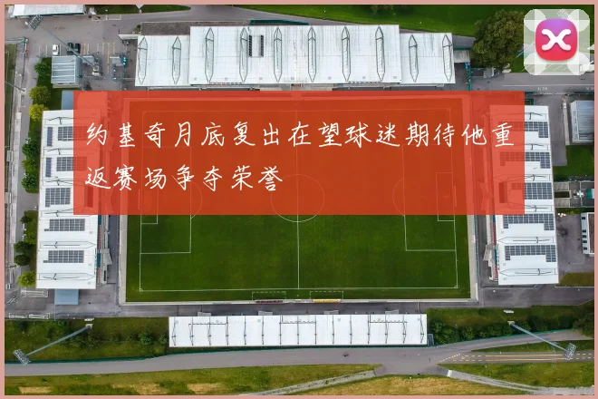 约基奇月底复出在望球迷期待他重返赛场争夺荣誉